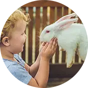 פינת ליטוף וחי